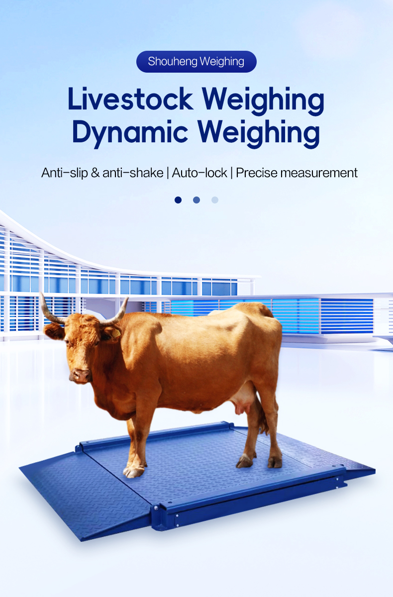 SOHE 1.2m*1.2m 2t Industrial Weighing Scale Platform with Double Ramp and 2000KG Capacity