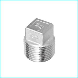 China Customized Stainless Steel Pipe Fittings Seamless Square Plug SQ wholesale