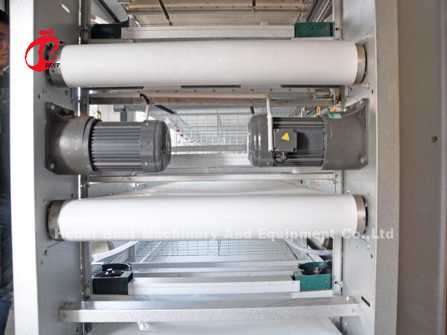 20 Years Lifespan Layer Poultry Farming Automatic Chicken Cage Equipment For 20,000 Layers Adela