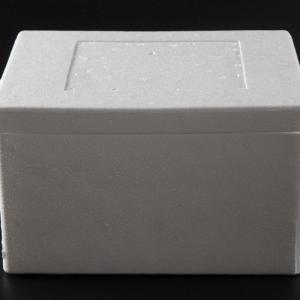 China EPP EPS Incubator Refrigerated Fresh Food Transport Incubator wholesale