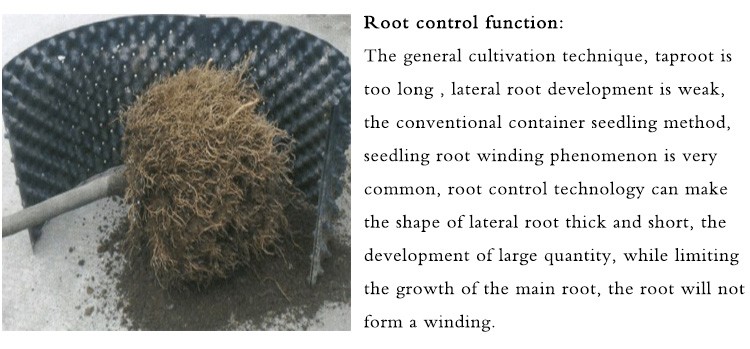 Eco Friendly Ventilated 0.5mm PVC Air Root Pruning Pot For Seed Planting