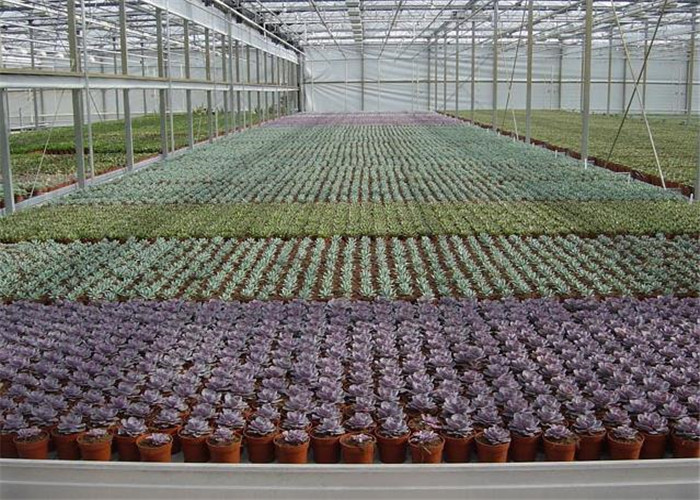 Large Ventilated Area Forest Garden Greenhouse Galvanized Frame Finishing