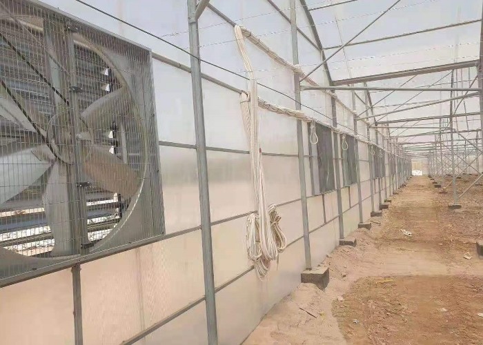 8mm 10mm Commercial Polycarbonate Greenhouse With Shading System Irrigation System