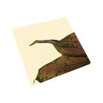 Pale Gold Mirror Stainless Steel Sheet Decorative Stainless Steel Plate 0.3mm