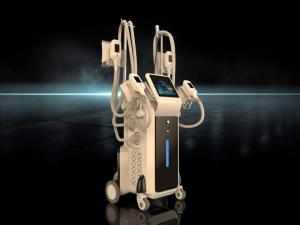 China Cryolipolysis Fat Freeze Slimming For Fat Reduce For Beauty Spa &amp; Center wholesale