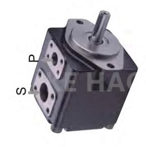 China High Pressure Double Vane Pump Cartridge Stainless Steel Gear Pump wholesale
