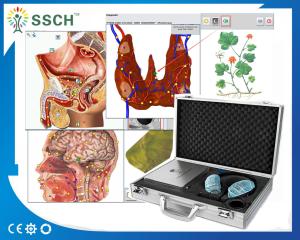 China 4025 Hunter Body Analyzer for Detecting Health Metatron NLS wholesale