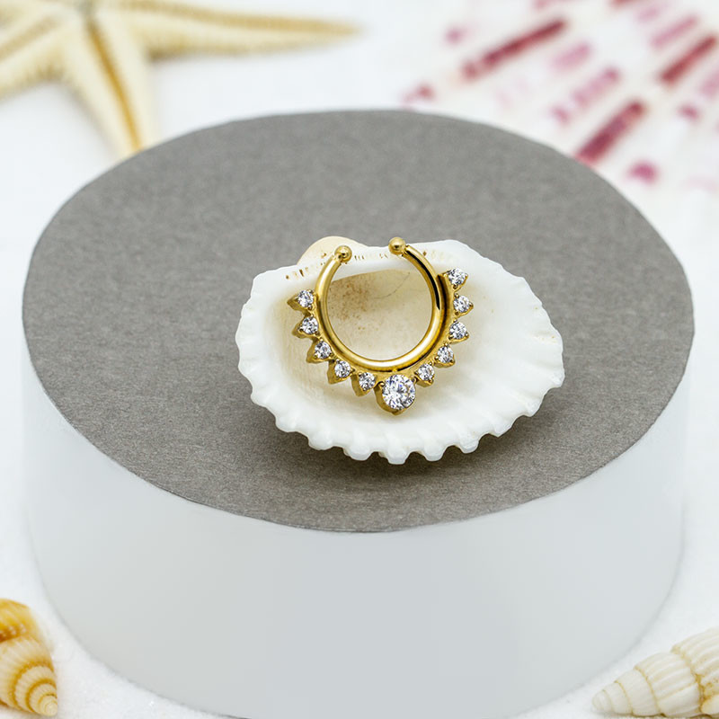 Flower Edge Titanium Nose Septum Ring False Nose Piercing Kit Gold Silver