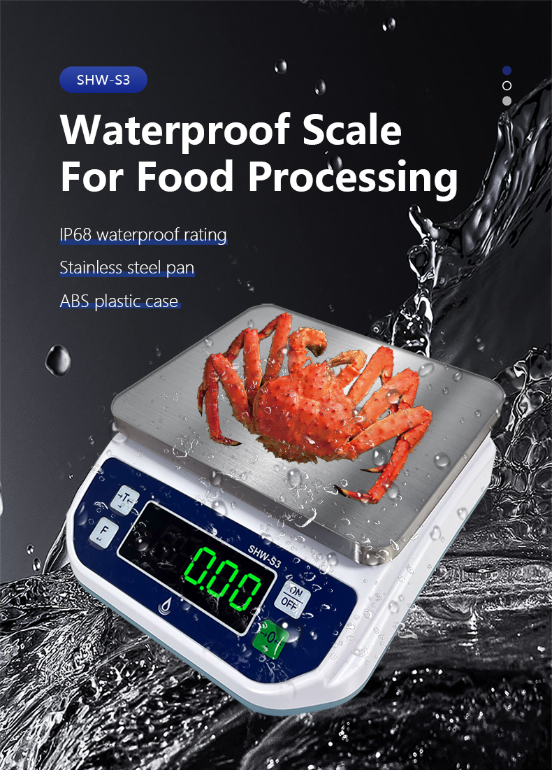 6KG Capacity LED Display Waterproof Scale for Food Processing Baking and High Precision