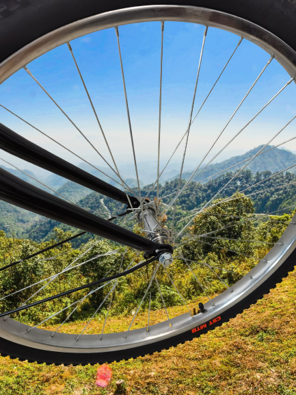 Speed Lightweight Carbon Fibre Road Bike With Single Speed Gears