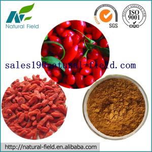 China manufacture Wolfberry Extract 40%&amp;50% with factory price wholesale
