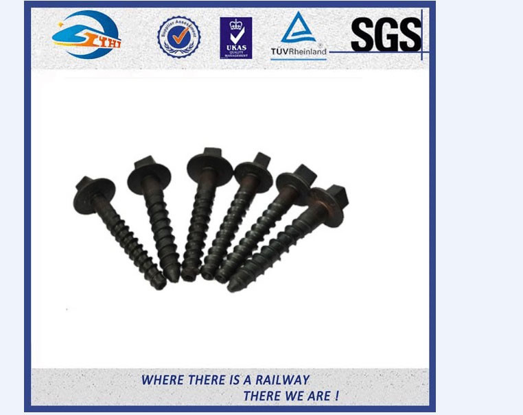 SS303 SS304 SS316 Stainless Steel Railway Sleepers Screws Rail Fasteners
