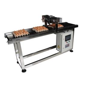 China 400W Inkjet Printer Conveyor wholesale