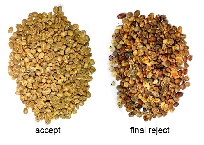 Coffee Beans Color Sorter Machine Small Size High Frequency 1.2Tons~1.5Tons