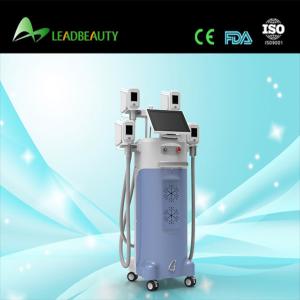 China Newest!!! cryolipolysis cool slimming wholesale