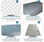 Sell High-Quality Good Price Pvc Coated Welded Wire Mesh Durable Household Metal