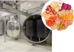 100KG Food Vacuum Freeze Dryer Industrial Freeze Drying Equipment