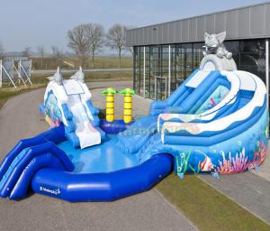 China Amusement Park Inflatable Water Slide Pool Customized Size wholesale