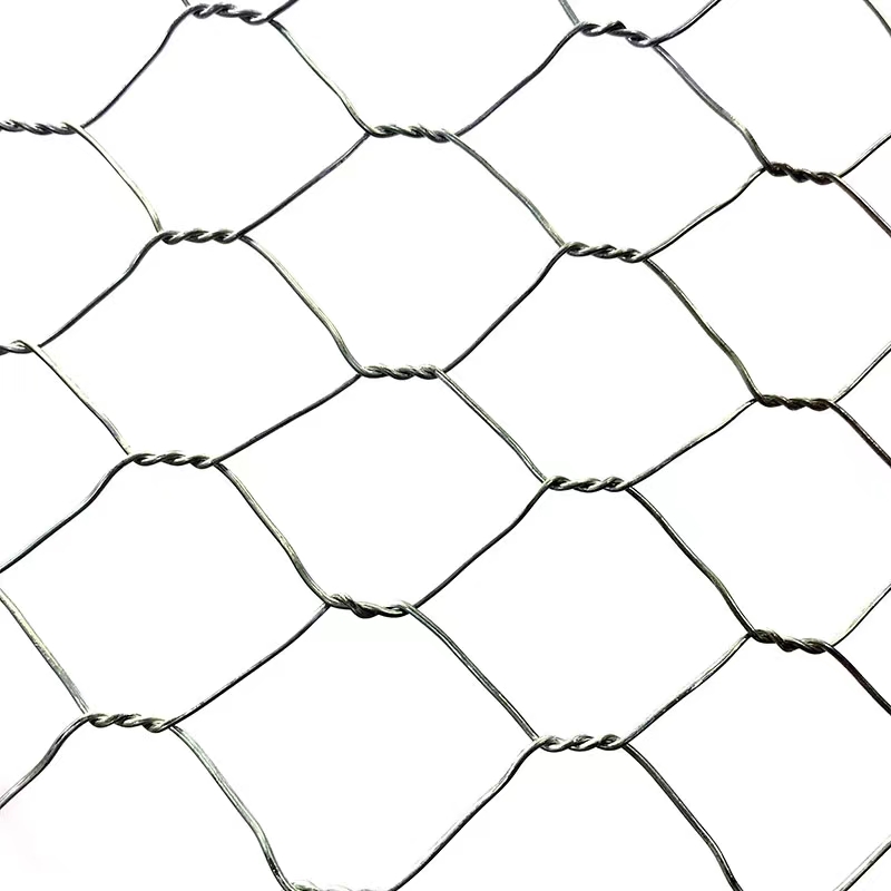 Factory Price Anti-rust diameter 0.4-1.5mm Galvanized Hexagonal Mesh Chicken Wire Garden Fence For Farm Fence