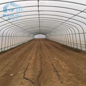 China Agricultural Single Span Tunnel Strawberry PE Greenhouse Tunnel Plastic Greenhouse wholesale