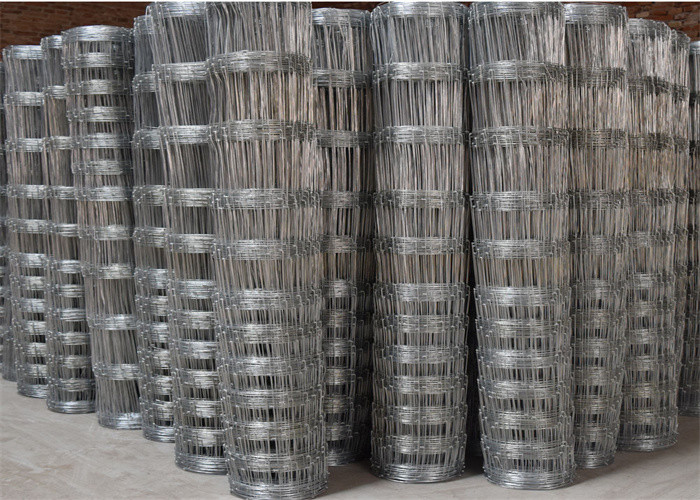 Galvanized Square Farm Wire Mesh Fence Galvanized With Hot Dipped Steel Wire