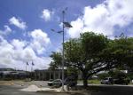 Country Road Street Light Wind Power Electric Generator , Hybrid Solar Street