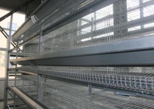 China 3 Tiers Chicken Layer Equipment / Galvanized Chicken Farm Poultry Equipment wholesale