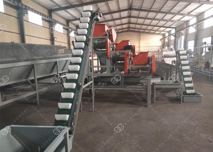 Hazelnut Shelling Machine Plant