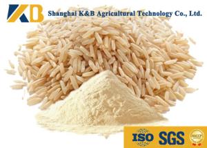 China Food Grade 80% Hydrolyzed Brown Rice Protein Nutrition Daily Fitness Use wholesale