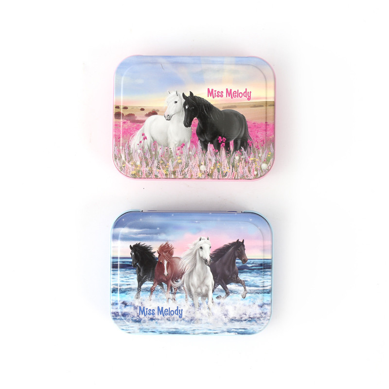 Wholesale Mini Tins Empty Metal Mint Cans for Sale Small Metal Sotrage Box for Candy