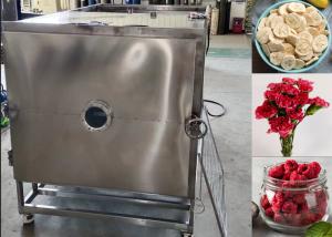 China Large Food Vacuum Freeze Dryer Machine Lyophilizer Equipment wholesale