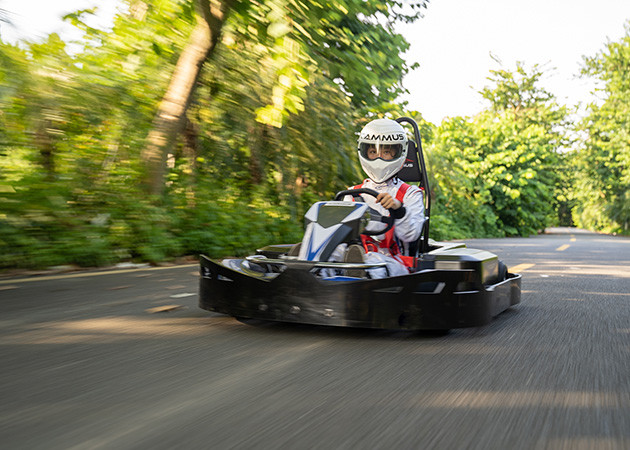 1.27Nm Torque Fast Indoor Go Karts App Adjustment Control OEM ODM
