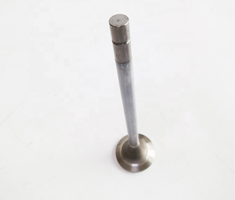 Sinotruk HOWO Spare Parts Wd615 Engine Air Exhaust Intake Valve 612600050073