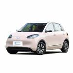 White Wuling Binguo Electric Vehicle Compact Car 410km Range