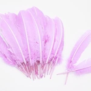 China Party Decoration Colored Turkey Feathers Event Supplies 10-12 inch wholesale