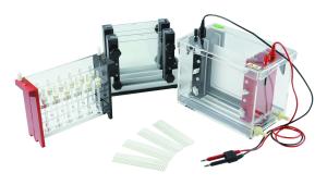 China 13.2 Kg 2d Gel Electrophoresis System 460 × 230 × 400 Millimeter Volume wholesale
