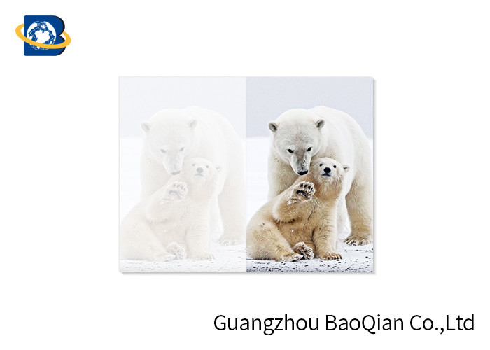 Lovely Animals 3D Image Lenticular Card Printing Two Sides CMYK Offset Printing