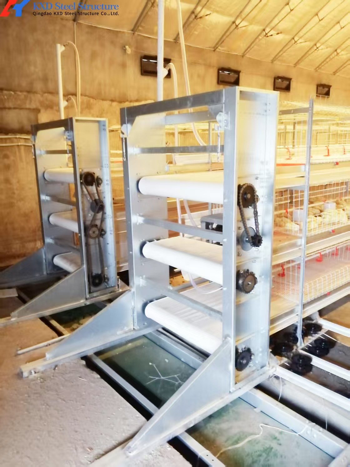 Hot Dip Galvanized Steel Poultry Farming Cage Automatic Meat Broiler Battery Cages