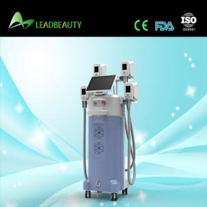 China Medical CE approved Cryolipolysis fat freeze Slimming Machine wholesale