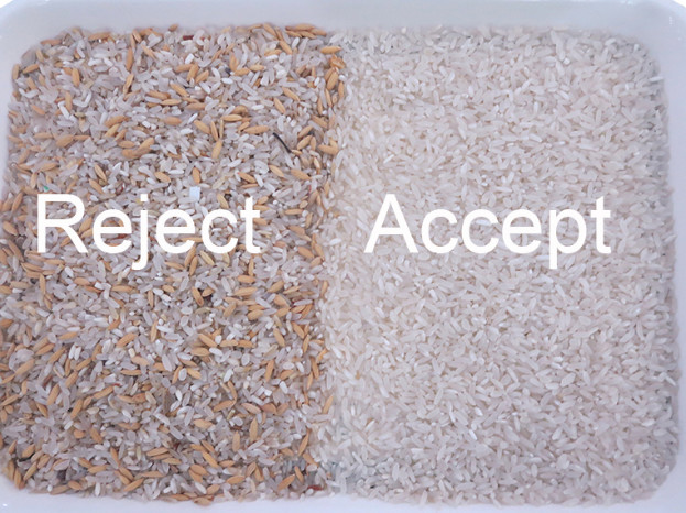 WENYAO Color Sorter Optical CCD Rice Sesame Walnut Cereal Color Sorting Machine