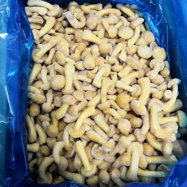 Fruits Frozen Mushroom IQF Frozen Nameko