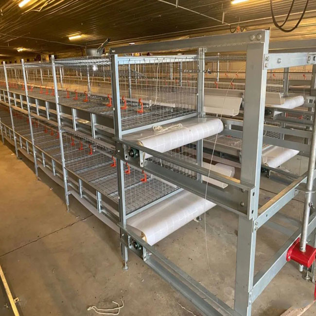 Baby Broiler Chicken Cage Farming Coop Animal Husbandry Equipment