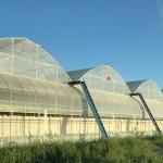 Automatical Controlling System Galvanized Steel Frame Film Greenhouse for