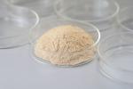 Catalase Industrial Enzyme Soluble In Water
