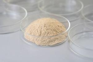 China Keratinase Industrial Enzyme Used For Leather Medicine And Cosmetics wholesale