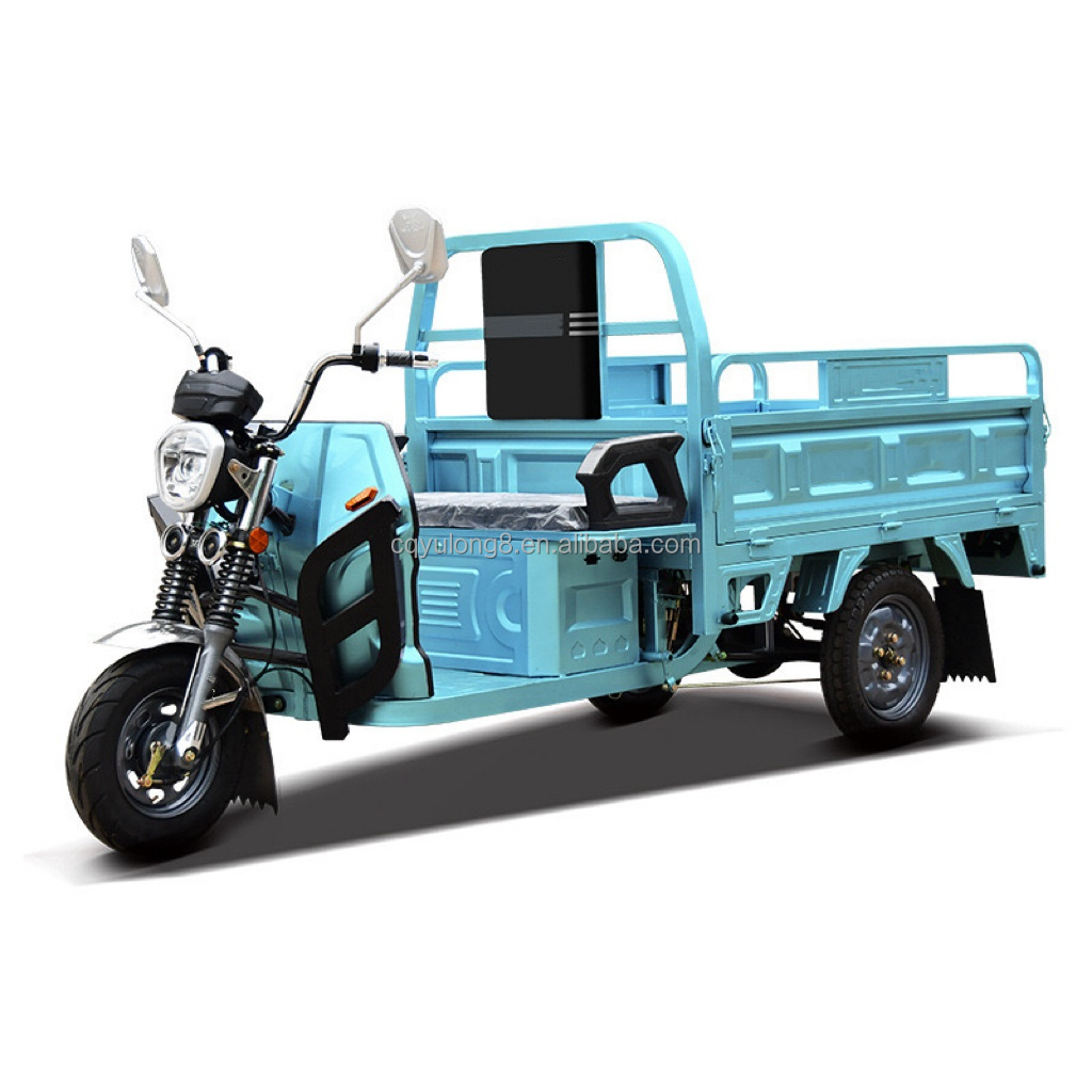 Hot Trending 1200w Open Body 3 Wheel Motorcycle Electric Cargo Tricycle for Transport