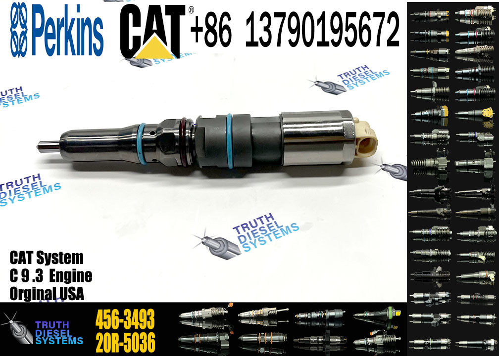 C9.3 Engine Injector 20R-5075 456-3493 456-3509 324-5467 364-8024 171-9704 196-1401 222-5966