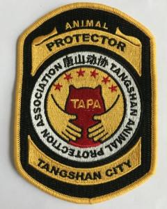China Nationial Iron on Embroidery Patches for clothing accessories wholesale