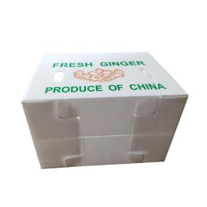 China OEM Corflute Fresh Ginger Box Folding Corrugated Plastic Box wholesale