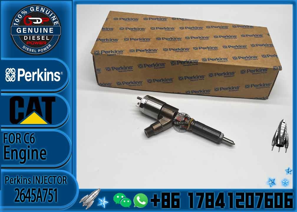 High Quality Professional Densos Gasoline Car Fuel Common Rail Diesel Electric Fuel Injector Assy 2645A751 2645A746 2645